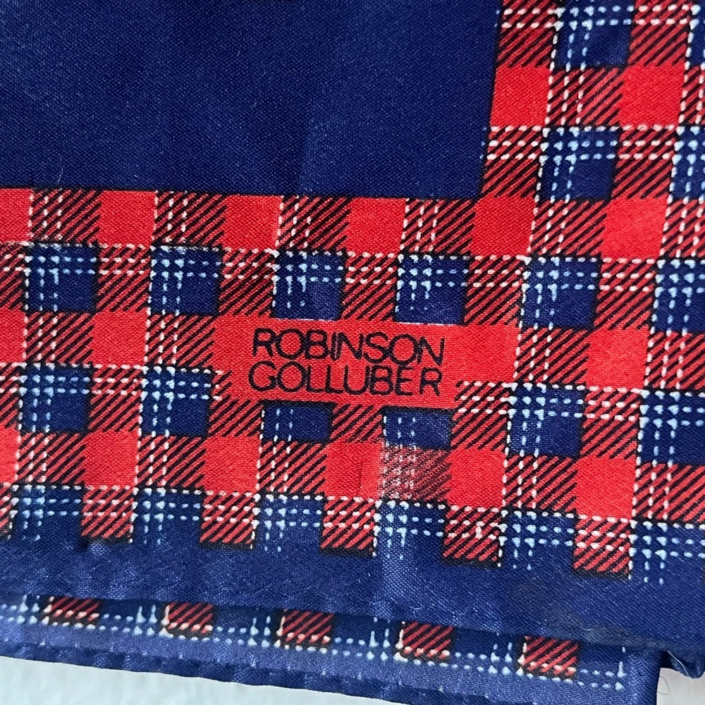Robinson Golluber Large Red and Blue Plaid Scarf - Picture 2 of 8